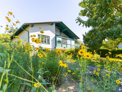 Wohlfühl-Oase in Mistelbach! Einfamilienhaus mit Pool und abwechslungsreichem Garten