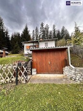 Idyllische Almhütte in ruhiger Lage in der Steiermark