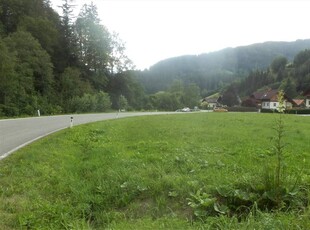 NEUBERG AN DER MÜRZ/KAPELLEN - SCHÖN GELEGENE BAURECHTSGRÜNDE