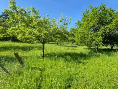 **IHR Platz im Grünen** - Obstgarten mit Gartenhaus