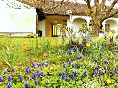 Hübscher Arkadenhof, idyllischer Garten - Umgeben von Weinbergen und dem beliebten Geschriebenstein