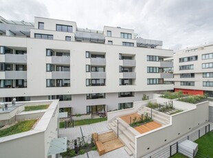 ab Neujahr: gemütliche, hofseitige Kleinwohnung mit westseitiger Loggia; U4 Nähe!