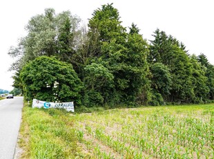 Bauerwartungsland mit Altbestand in Enns