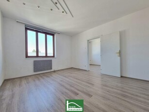 Freundliche 2 Zimmer Wohnung - Ruhelage mit Charakter - Nahe Zentrum - Tolle öffentliche Anbindung! - JETZT ZUSCHLAGEN