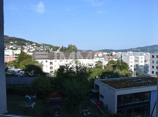 XXL Familienwohnung in bester Lage Urfahr/Gründberg