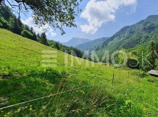 Lage! Lage! Lage! Berge, Wälder, Wiesen zum genießen!