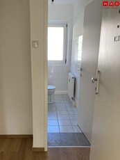 Wohnen und Wohlfühlen in Steyr Münichholz: Bezaubernde Single-Wohnung mit separatem Schlafzimmer und Wohlfühlcharakter! Umfassende Sanierung abgeschlossen - bezugsfertig ab sofort!