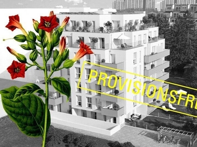 ZUHAUSE ANKOMMEN - MODERNE GARTENWOHNUNG ZUM FAIREN PREIS