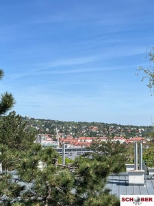 *Hietzinger Bestlage* Schöner Weitblick