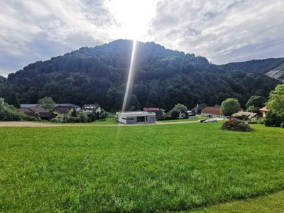 BAUGRUND OHNE Bauzwang in WAIDHOFEN / Ybbs