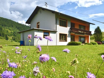 Ruhiges Leben in Metnitz! Grundfläche von über 7000m2!