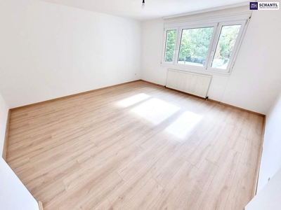 Schnell sein! Hofseitige 2-Zimmer + Attraktive Neubauwohnung in Bestlage + Perfekte Infrastruktur + Ideale Anbindung + Frisch saniert! Jetzt zugreifen!