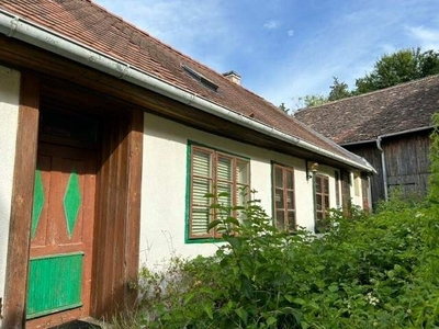 PREISREDUKTION: ALTES, STARK SANIERUNGSBEDÜRFTIGES BAUERNHAUS MIT WEINGARTEN UND WEINKELLER im WEINVIERTEL, NÄHE RAVELSBACH - HOLLABRUNN, GRÜNRUHELAGE IN KELLERGASSE