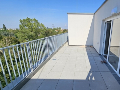 ERSTBEZUG mit KAUFOPTION - Mietwohnung(en) mit Dachterrasse & Parkplatz-Option nahe Merkur City (Top 64)