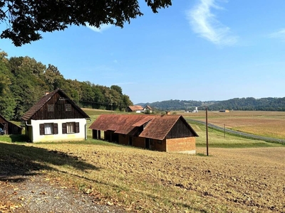 Renovierungsbedürftiges Bauernhaus mit Nebengebäude und Ackerland