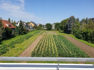 Sehr gepflegte 3 Zimmerwohnung mit Fernblick