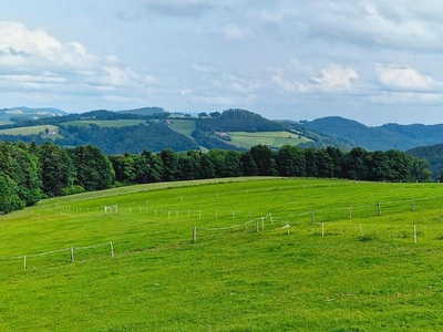 Haus in absoluter Alleinlage mit schöner Aussicht! Nur 1 Stunde nach Wien!