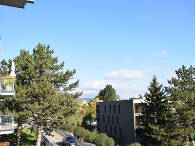 Wunderschöne, exklusive und sonnige Wohnung mit 2 Terrassen beim Hörndlwald