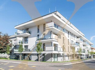 Exklusives Penthouse mit großzügiger Dachterrasse in Linzer Bestlage zu verkaufen!