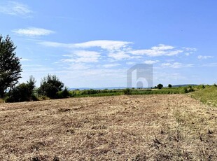 TOP FÜR ANLEGER - SONNIG IN BESTER SIEDLUNGSRUHELAGE