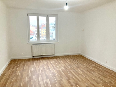 1120! Hübsche 1-Zimmer Wohnung nahe U6/Längenfeldgasse!