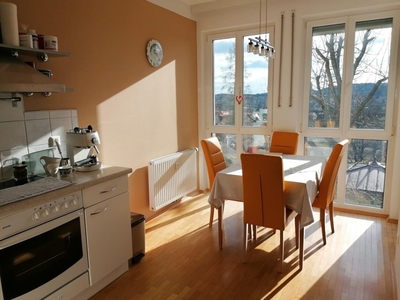 Traumhafte Wohnung am Stadtrand mit Ausblick!