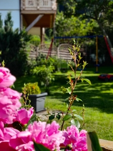 Willkommen in Tulfes - Traumhafte 4 Zimmer-Maisonettenwohnung mit Dachterrasse