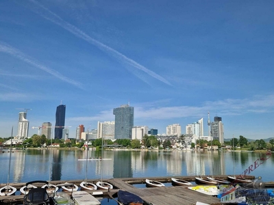 In unmittelbare Nähe zur Alten Donau !