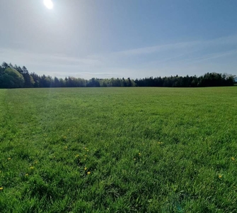 Landwirtschaftliches Grünland mit Waldfläche