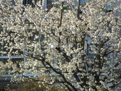 Schöne und große Wohnung. - Sonnig, tolle Aussicht !