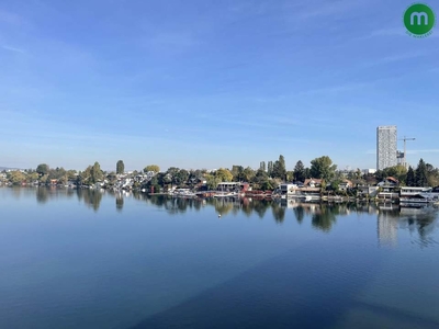 Alte Donau: Große DG-Wohnung mit Zwei Dachterrassen