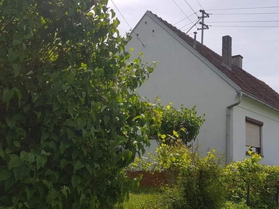 Einfamilienhaus mit Nebengebäuden und Garten