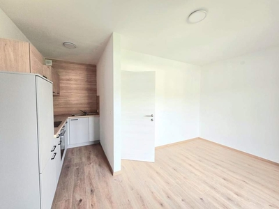 Zentrale, schöne und neu renovierte 2-Zimmer Maisonette Wohnung mit Loggia