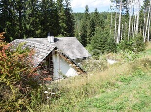 Renovierungsbedürftiges Sacherl auf Waldlichtung - ALLEINLAGE!