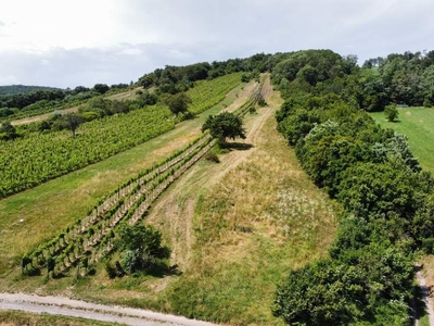 Großes Grundstück mit landwirtschaftlicher Widmung