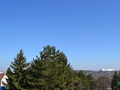 Herrliche Aussicht beim Hörndlwald - Exklusives Appartement - Grünruhelage