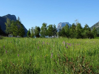 Ebensee: 2 sonnige Grundstücke mit je ca. 610m² - in Seenähe!