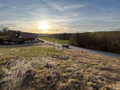 SONNIG MIT BLICK IN DIE NATUR