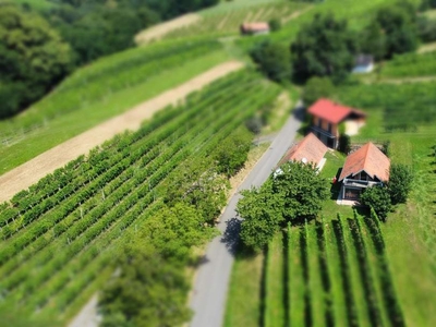 Unikat - Kleines Winzerhaus mit Weingarten am Klöchberg