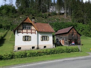 Haus mit Stall, Wiese und Wald in Etmißl