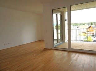 Helle 2 Zimmer Wohnung mit großem Balkon am schönen Wallersee - Neubauprojekt im Baurechtseigentum! PROVISIONSFREI