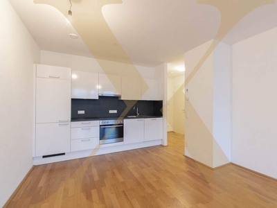 Moderne 2-Zimmer-Wohnung mit gemütlicher Loggia nähe WIFI in Linz zu vermieten! (Top 37)