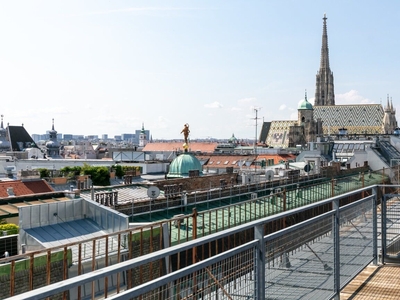 Cooles Penthouse mit loftartigem Wohn-Essbereich & Terrasse zum Stephansdom