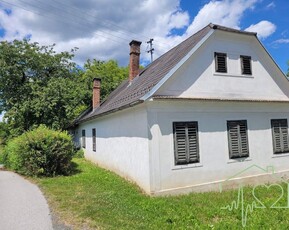 Burgenländischer Streckhof mit viel Potential - 1679 m² Grundstück BW in Kemeten!