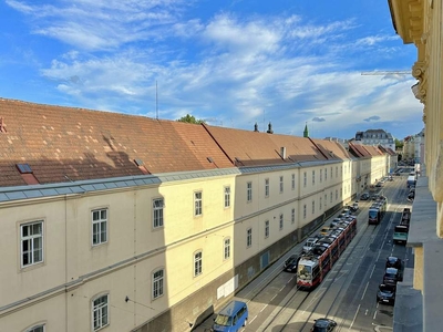 Unverbaubarer Blick auf historische Gebäude u. altes AKH I ca. 3,40m Raumhöhe I Öffis direkt vor der Tür I 1. Bezirk u. Hauptuniversität ca. 10 Minuten zu Fuß I