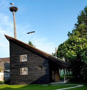 CAMPO REAL HAUS: Fernöstliche Wohnart im geerdeten Burgen-Land