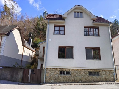 Neuer Preis! Ein- Zweifamilienhaus mit WALD - DACHTERRASSE - NEBENGEBÄUDE - INNENHOF