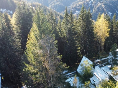 Ferienhaus am Gaberl auf 1.270 Metern Seehöhe für Naturliebhaber