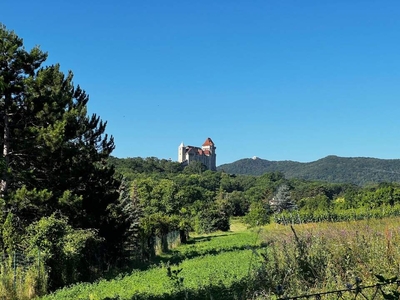 Flexibles Einfamilienhaus mit traumhaftem Garten und Blick zur Burg Liechtenstein! TOPLAGE RAUCHKOGEL!