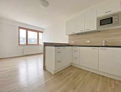 Moderne Singlewohnung im Welser Stadtteil Neustadt